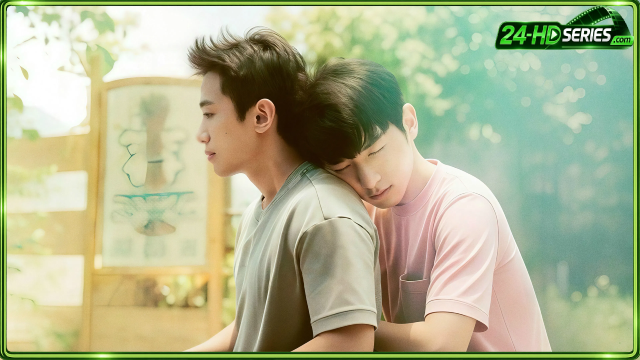 Wishing Upon the Shooting Stars