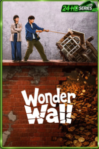 ดูซีรี่ย์ พลิกกำแพงซ่อนเงินมรณะ (2026) Wonder Wall EP.1-20 ซับไทย